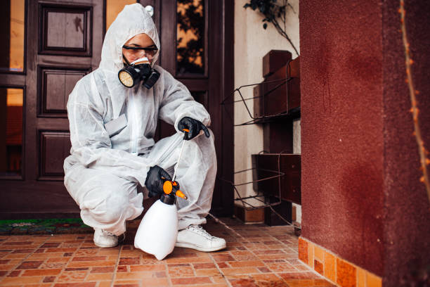 Reliable Cockroach Control contractor in Saluda, SC by Nex Pest Control